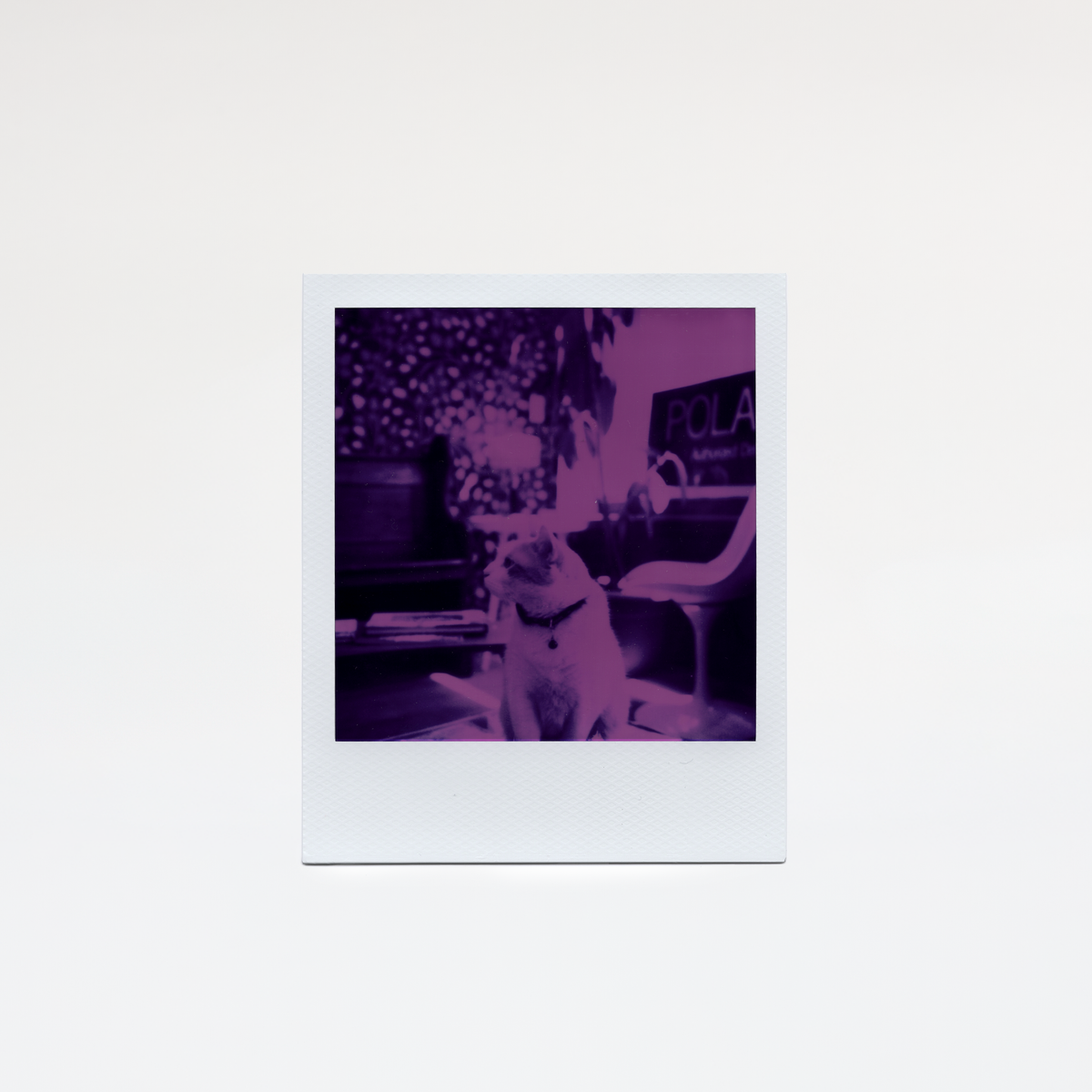 LIMITED EDITION: Polaroid 600 Reclaimed Purple