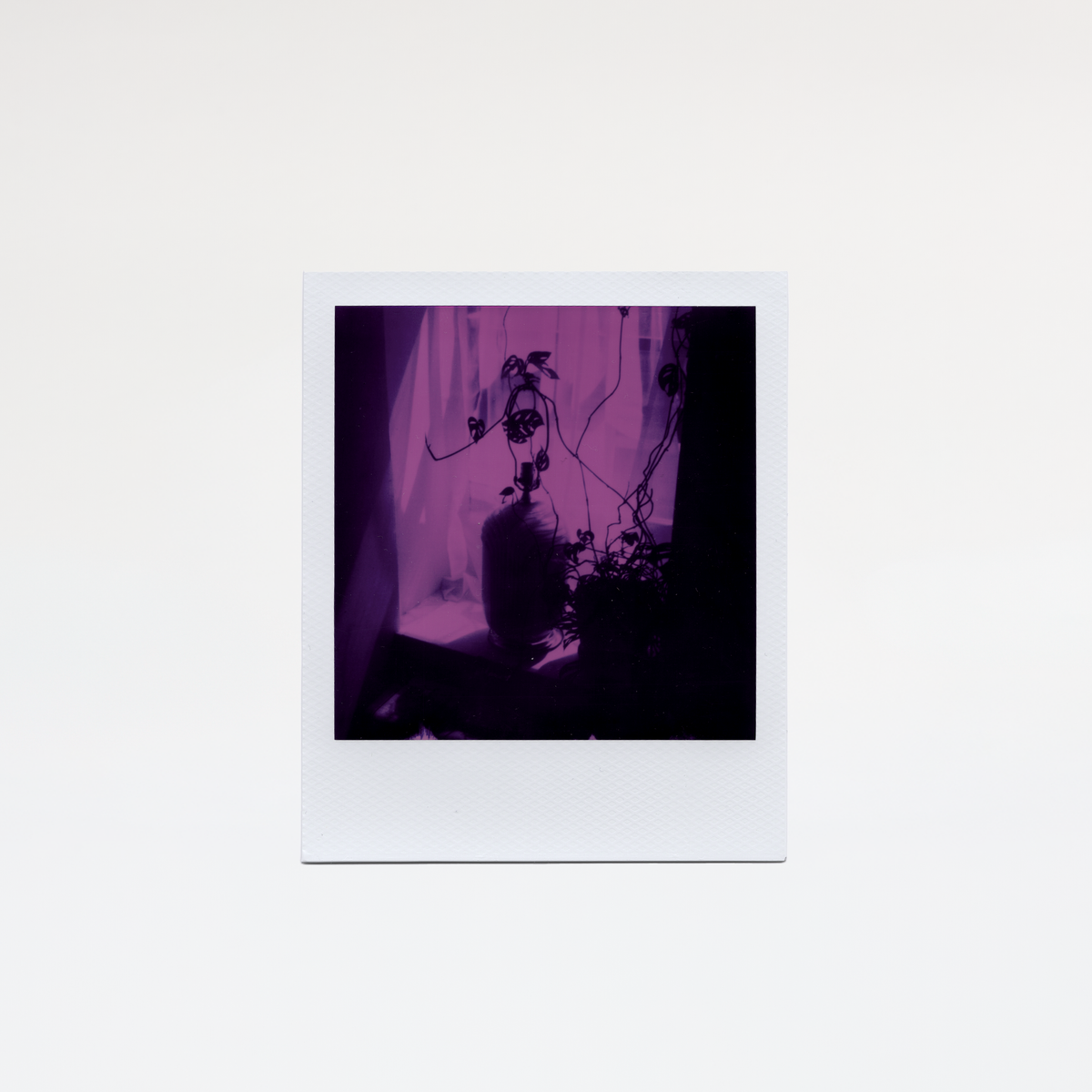 LIMITED EDITION: Polaroid 600 Reclaimed Purple