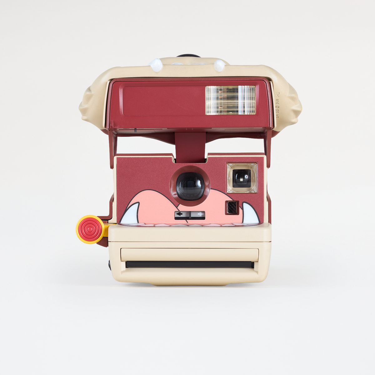 Polaroid 600 :: TAZ! – Brooklyn Film Camera