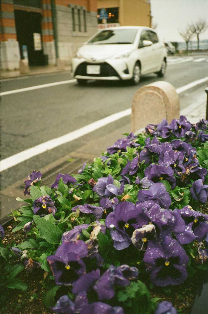 Rollei 35AF