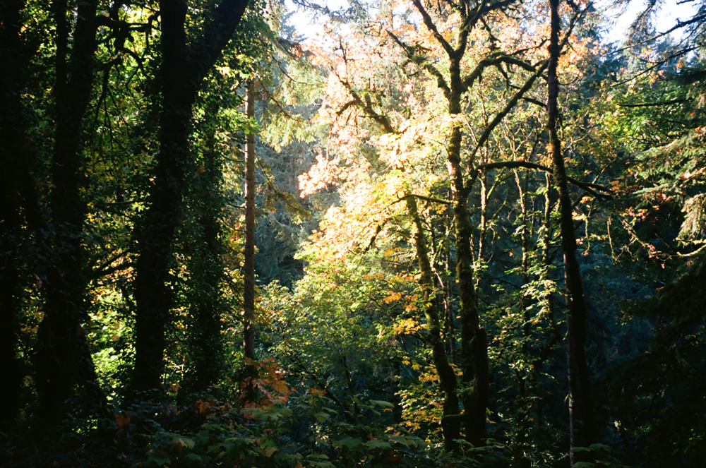 Shot on the Contax TVS