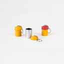 Film Canister Keychain | Loaded with Expired Film