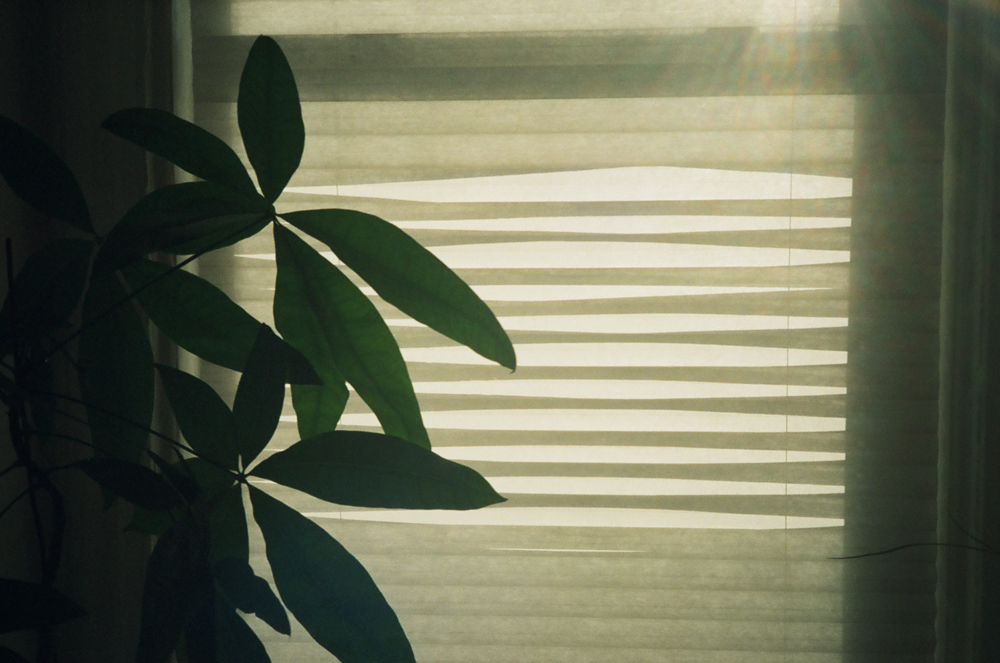 Shot on the Olympus XA3