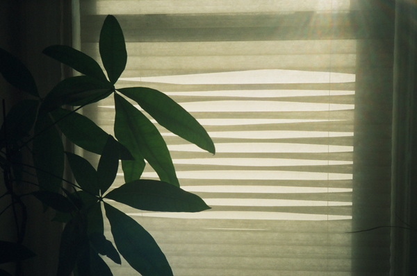 Photo shot on Olympus XA2, image 2