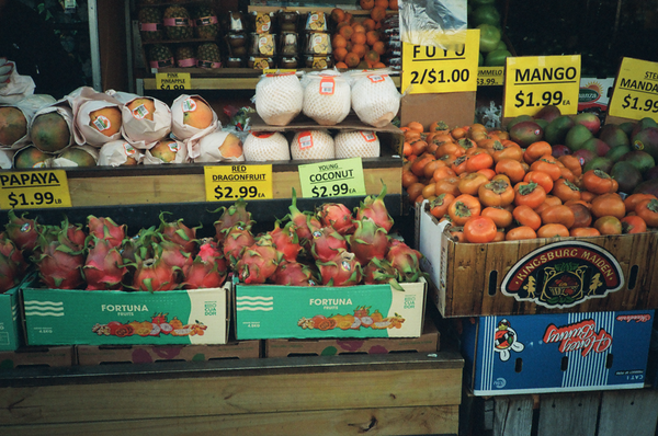 Photo shot on Olympus XA2, image 3