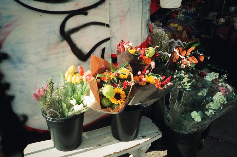 Shot on the Olympus XA4 Macro