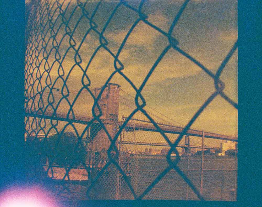 Lomography Lobster | Color