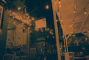 Seagull IR100 :: Color (expired)