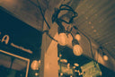 Seagull IR100 :: Color (expired)