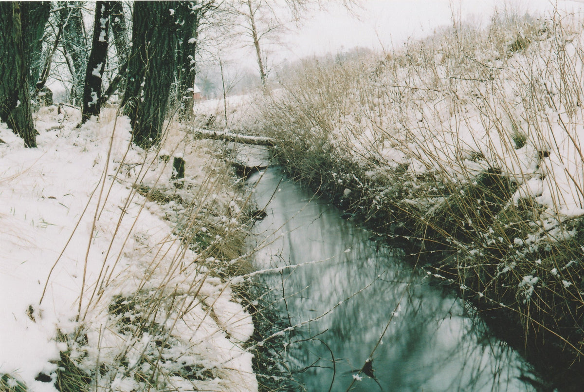 Cinestill 50D :: Color