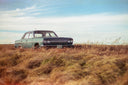 Cinestill 50D :: Color