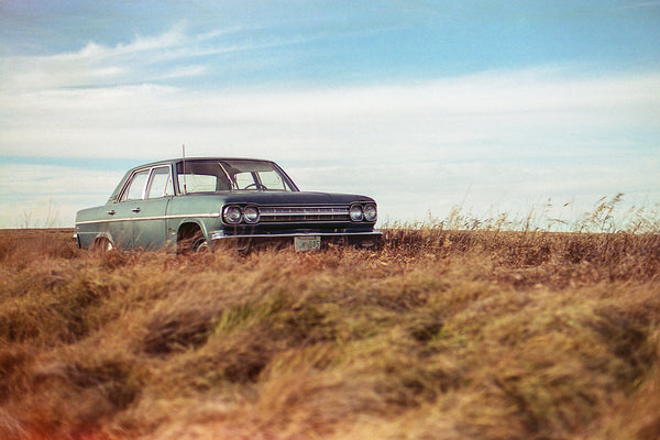 Cinestill 50D :: Color sample