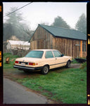 Cinestill 50D :: Color