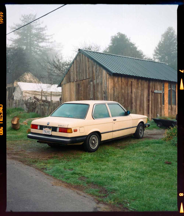 Cinestill 50D :: Color sample