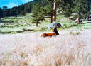 Cinestill 400D :: Color
