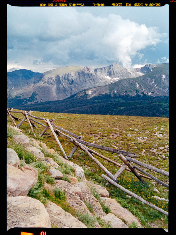 Cinestill 400D :: Color sample