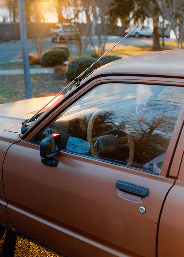 Cinestill 800T :: Color sample