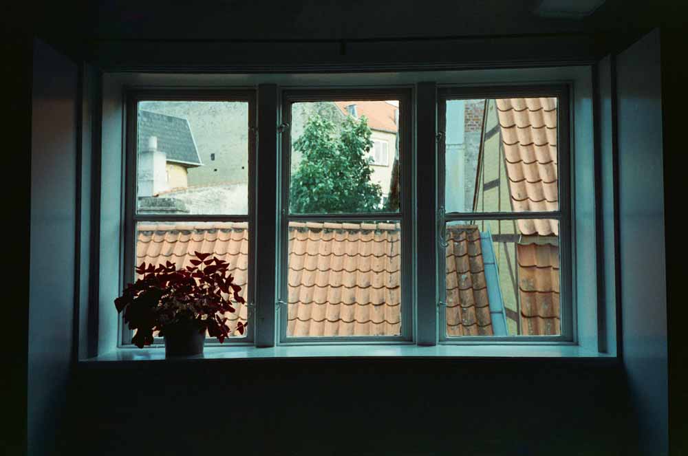 Cinestill 800T :: Color – Brooklyn Film Camera