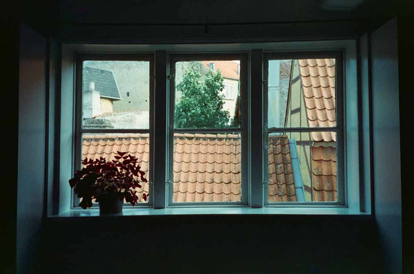 Cinestill 800T :: Color sample