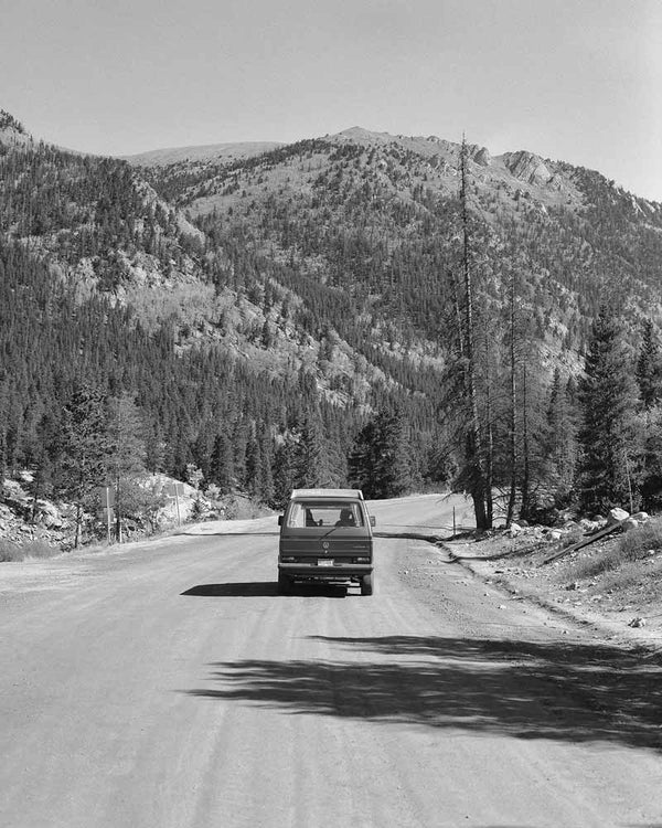 Cinestill XX 250 :: B&W sample