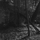 Ilford Delta 3200 :: B&W
