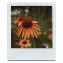 SX-70 Close-Up Lens :: Vintage Polaroid