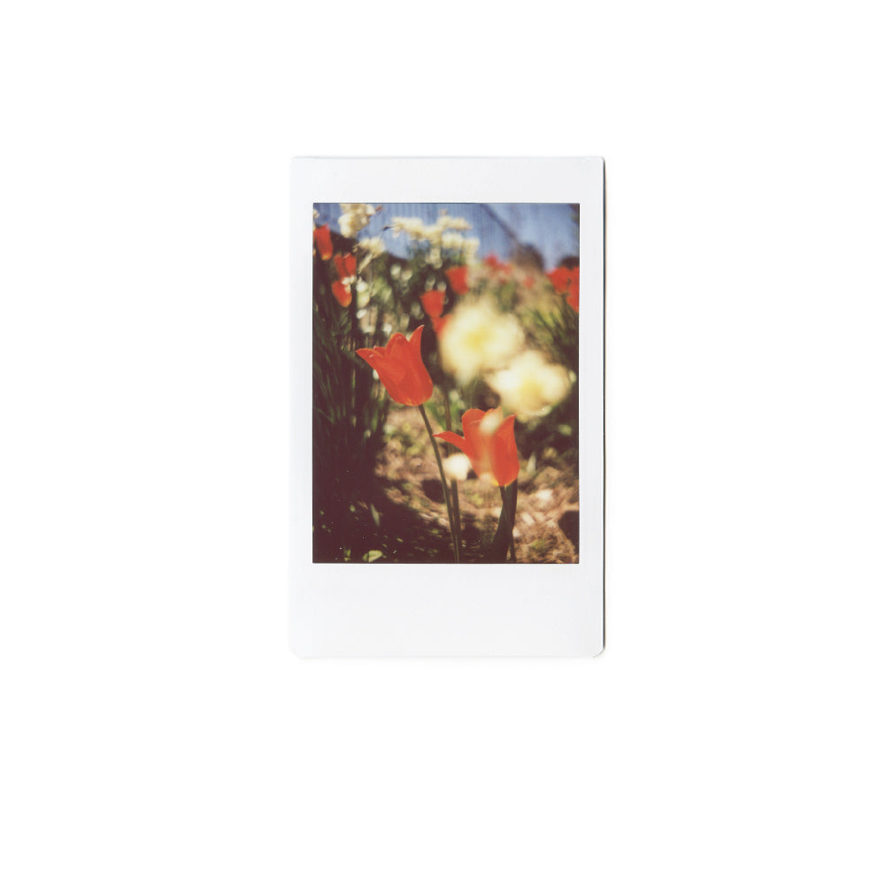 Fujifilm Instax Mini - Thumbnail 3