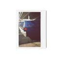 FujiFilm Instax :: Wide (twin pack)