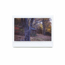 FujiFilm Instax :: Wide (twin pack)