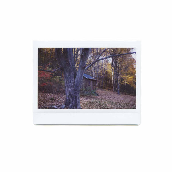 FujiFilm Instax :: Wide (twin pack) sample