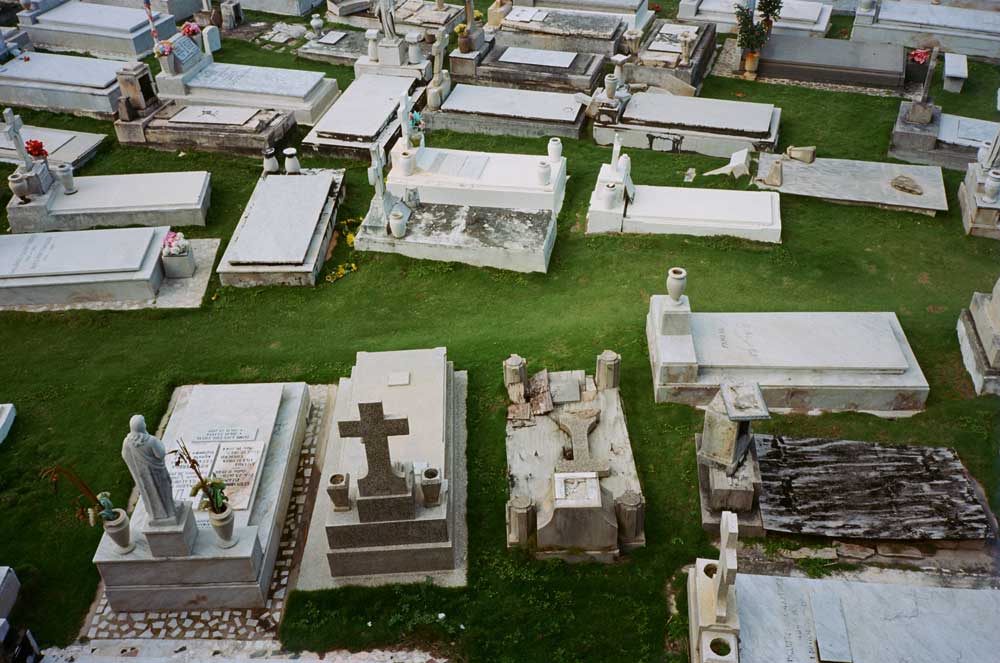 Kodak Ektar Film - Thumbnail 5