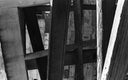 Kodak Tri-X 400 :: B&W