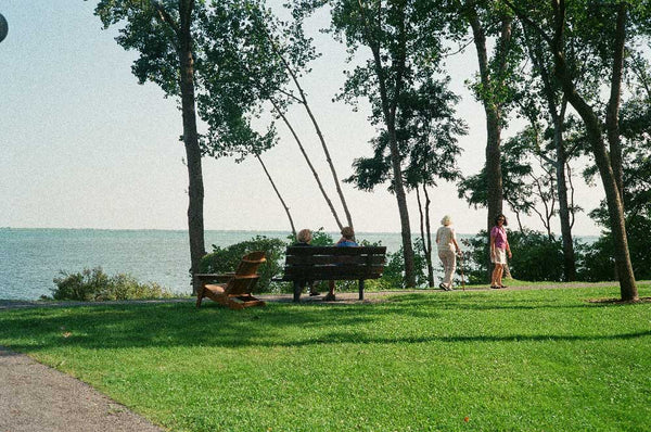 Lomography 400 Color sample