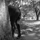 Lomography Lady Grey :: B&W