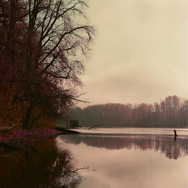 LomoChrome Purple | Color sample