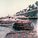 Lomochrome Purple 100-400 :: Color