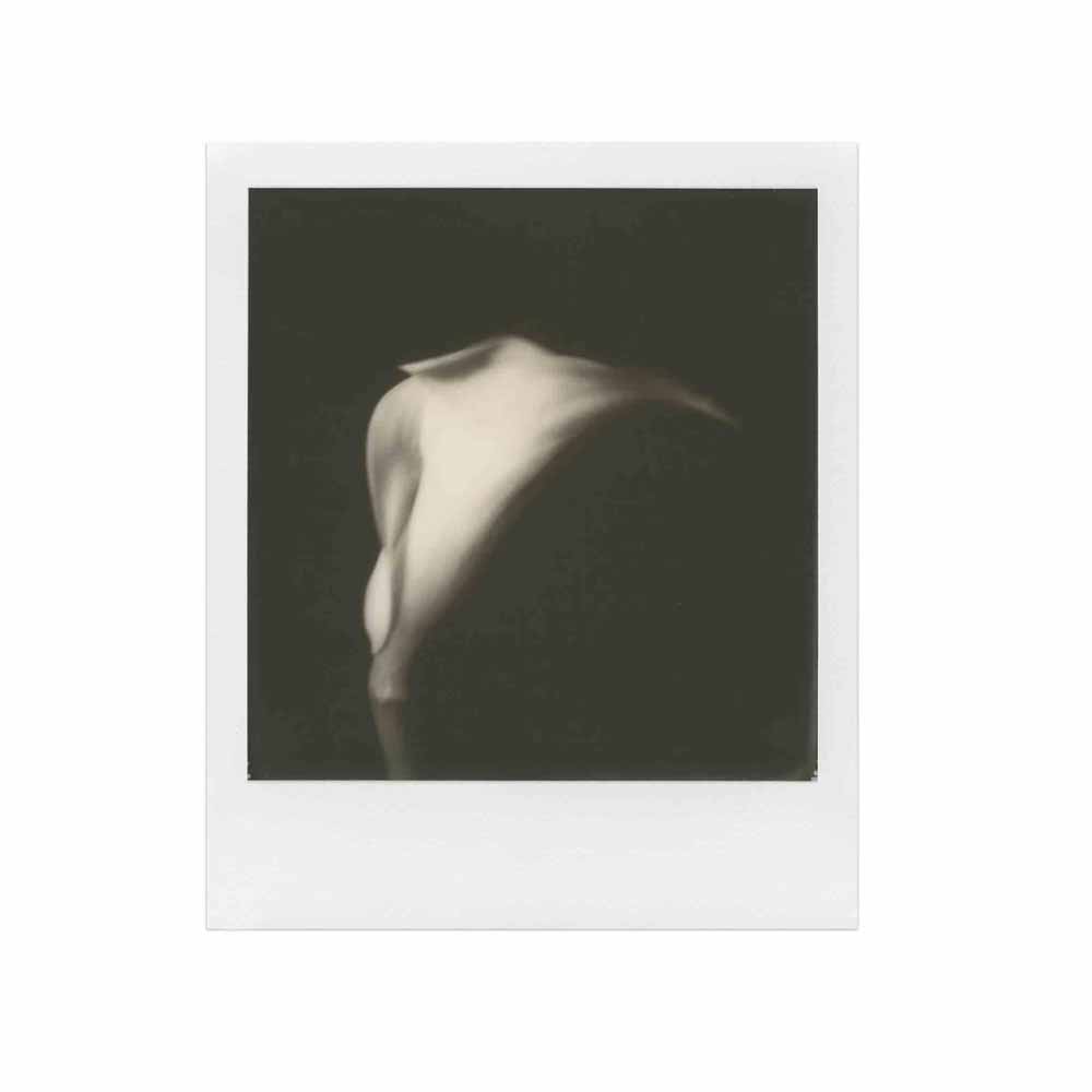 Polaroid 600 - B&W Film