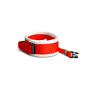 Polaroid Camera Straps :: Flat