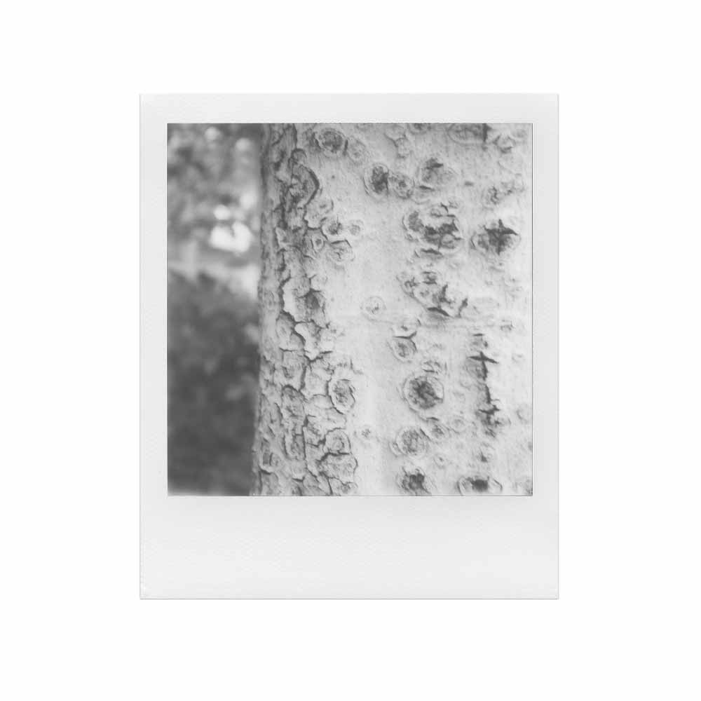 Polaroid | Black & White SX-70 Film