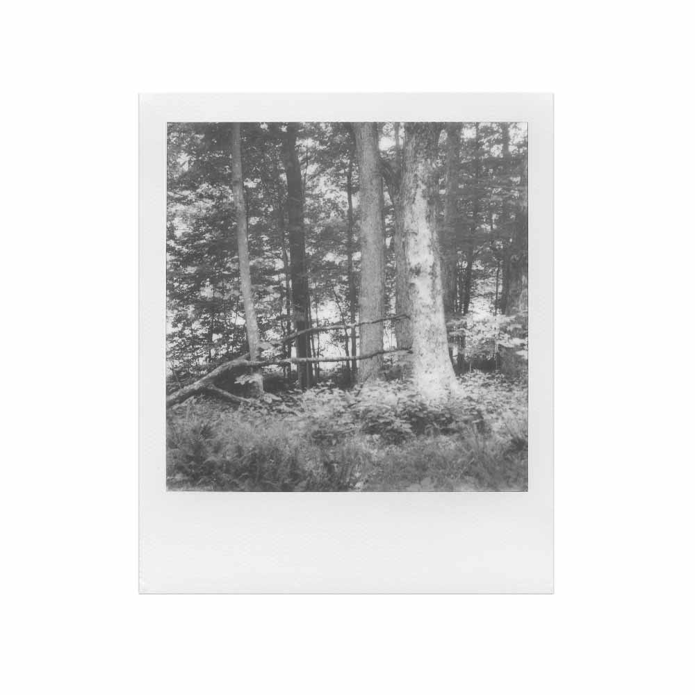 Polaroid | Black & White SX-70 Film