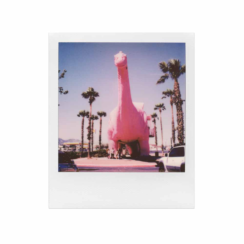 Polaroid | Color SX-70 Film