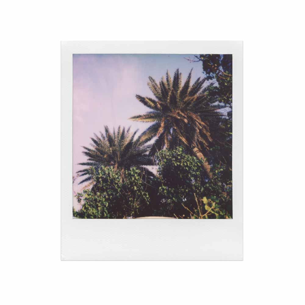 Polaroid | Color SX-70 Film