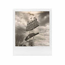 Polaroid i-Type :: B+W Film