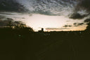 Kodak Portra 160 :: Color