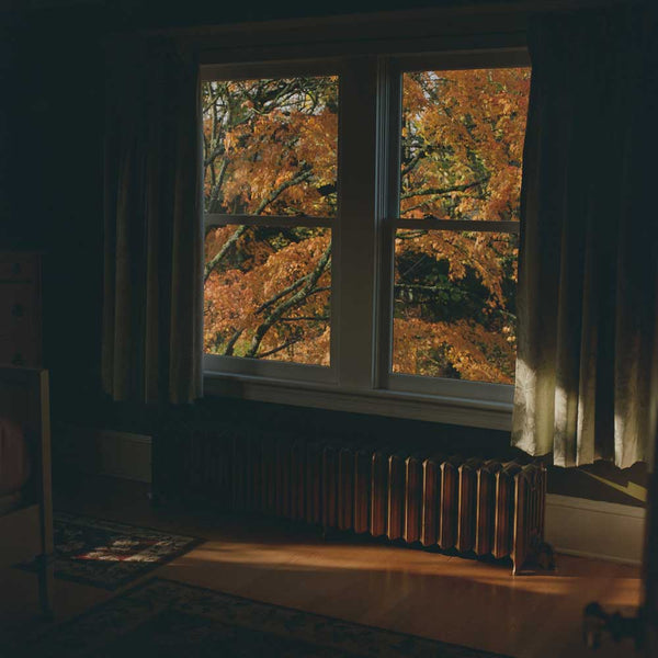 Kodak Portra 800 - Color sample