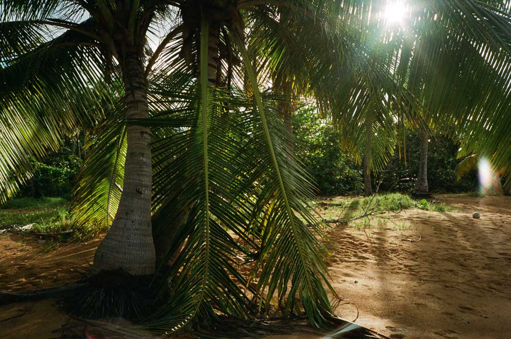 Kodak Portra 800 - Color