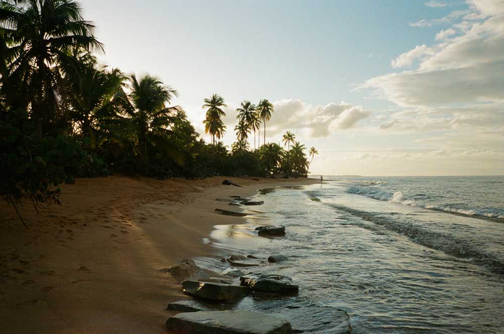 Kodak Portra 800 - Color