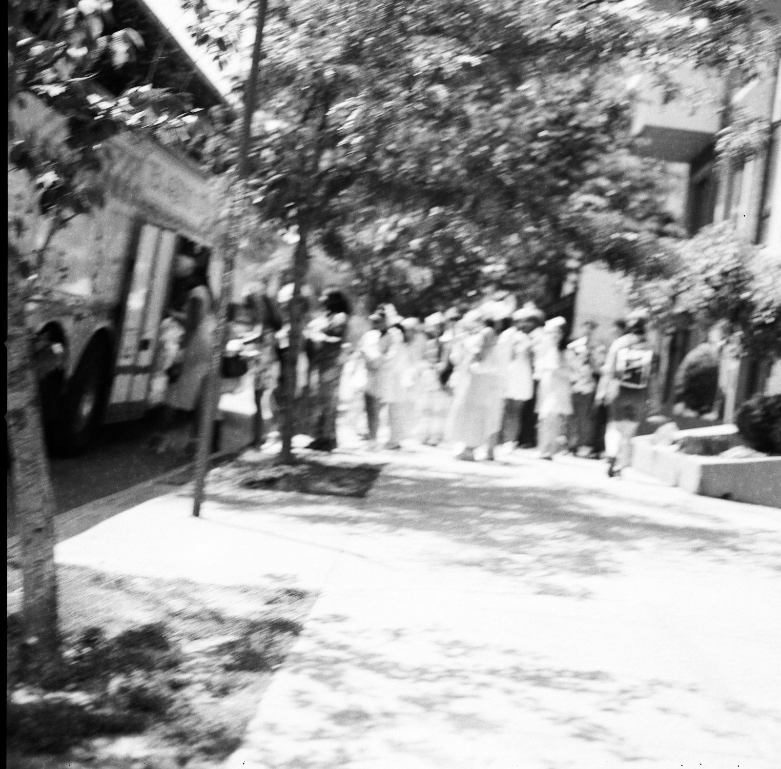 Tree-lined sidewalk in black and white, shot on 35mm